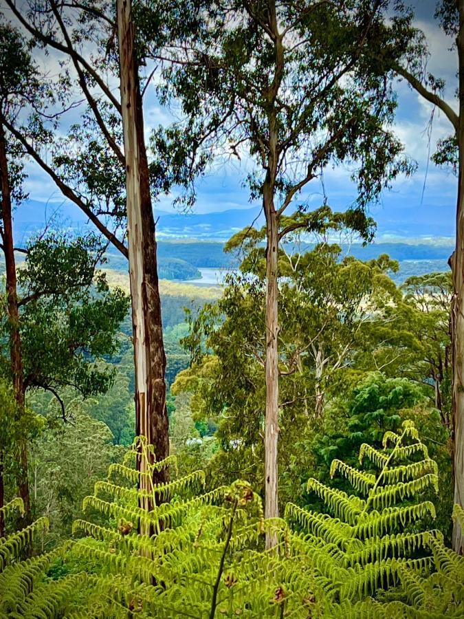 Melbourne Topview Villa In Dandenong Ranges Near Skyhigh Kalorama Eksteriør bilde