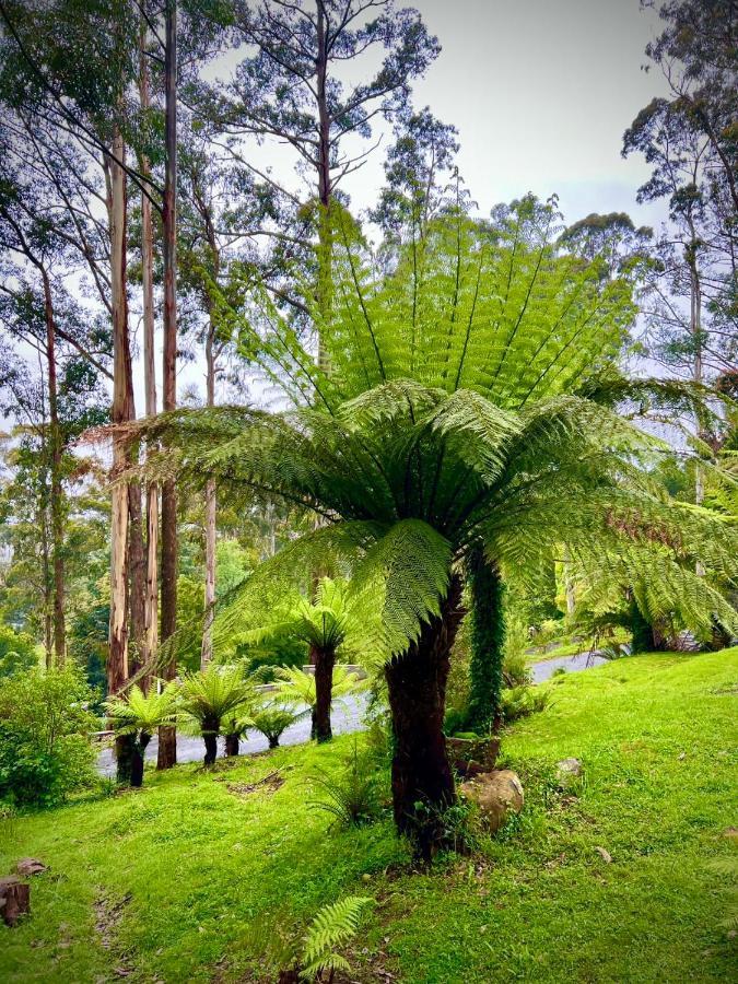 Melbourne Topview Villa In Dandenong Ranges Near Skyhigh Kalorama Eksteriør bilde