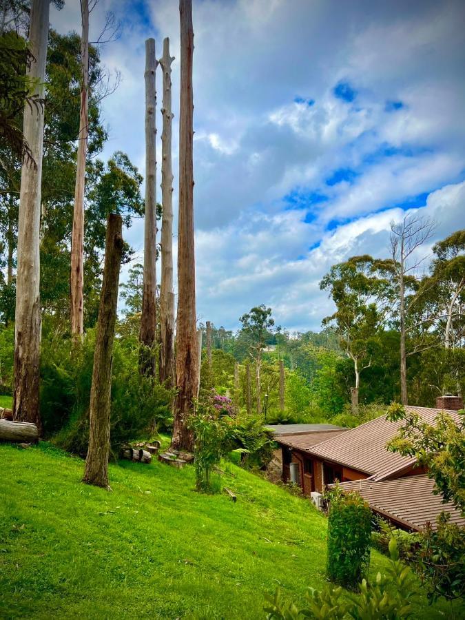 Melbourne Topview Villa In Dandenong Ranges Near Skyhigh Kalorama Eksteriør bilde