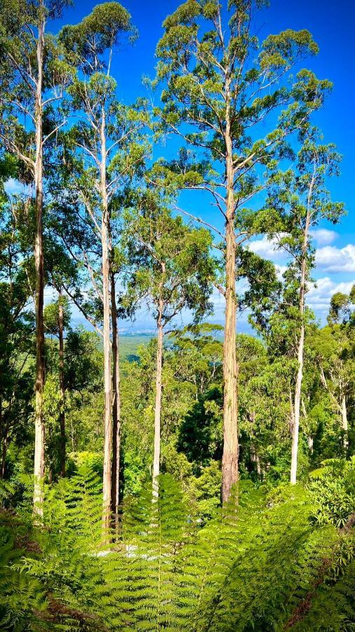 Melbourne Topview Villa In Dandenong Ranges Near Skyhigh Kalorama Eksteriør bilde
