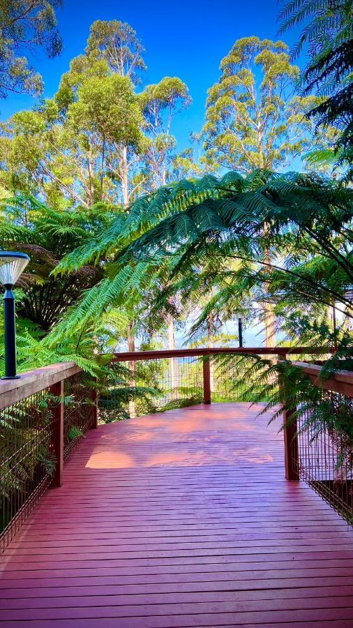 Melbourne Topview Villa In Dandenong Ranges Near Skyhigh Kalorama Eksteriør bilde