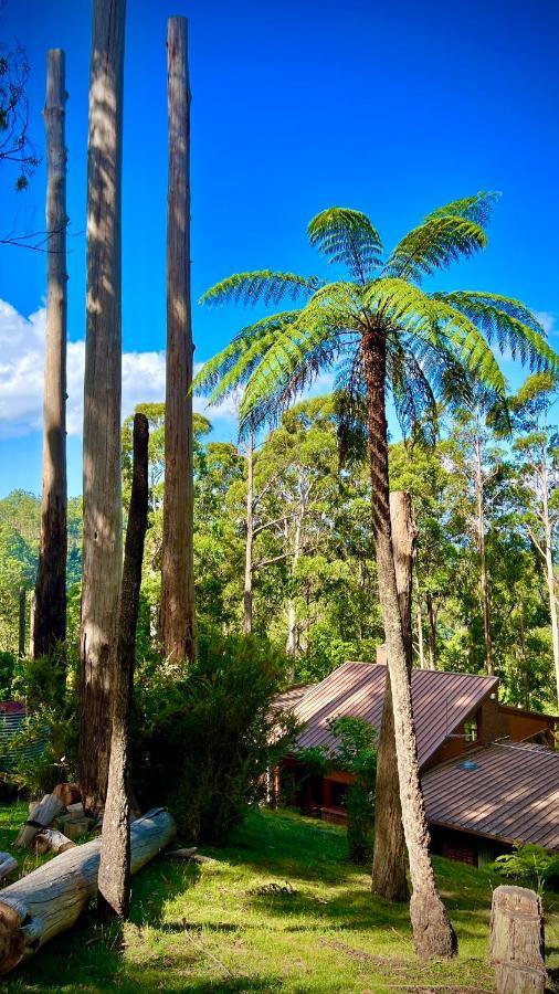 Melbourne Topview Villa In Dandenong Ranges Near Skyhigh Kalorama Eksteriør bilde