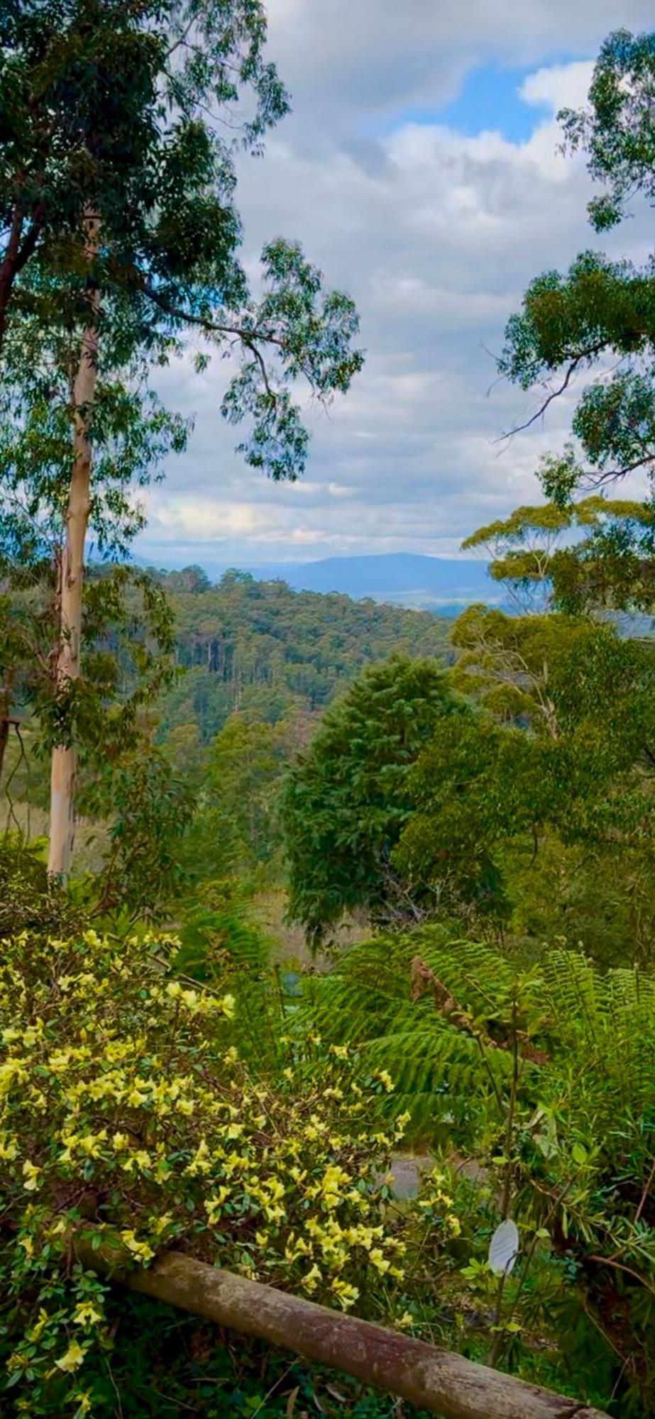 Melbourne Topview Villa In Dandenong Ranges Near Skyhigh Kalorama Eksteriør bilde