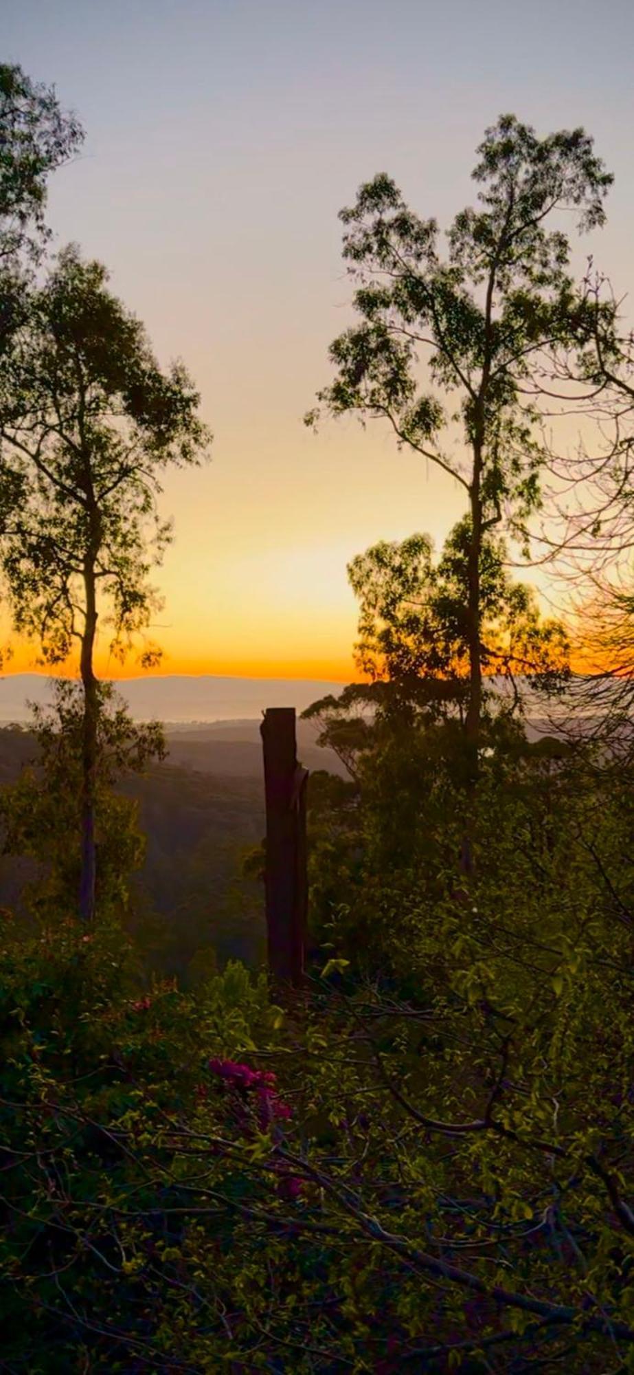 Melbourne Topview Villa In Dandenong Ranges Near Skyhigh Kalorama Eksteriør bilde