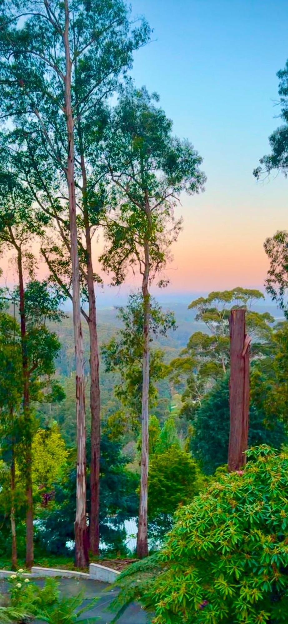 Melbourne Topview Villa In Dandenong Ranges Near Skyhigh Kalorama Eksteriør bilde