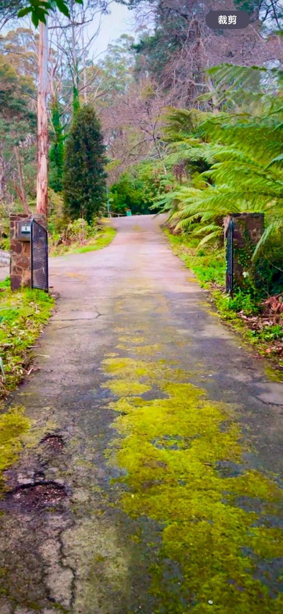 Melbourne Topview Villa In Dandenong Ranges Near Skyhigh Kalorama Eksteriør bilde